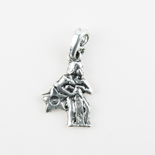 Horoscope Pendant / Charm